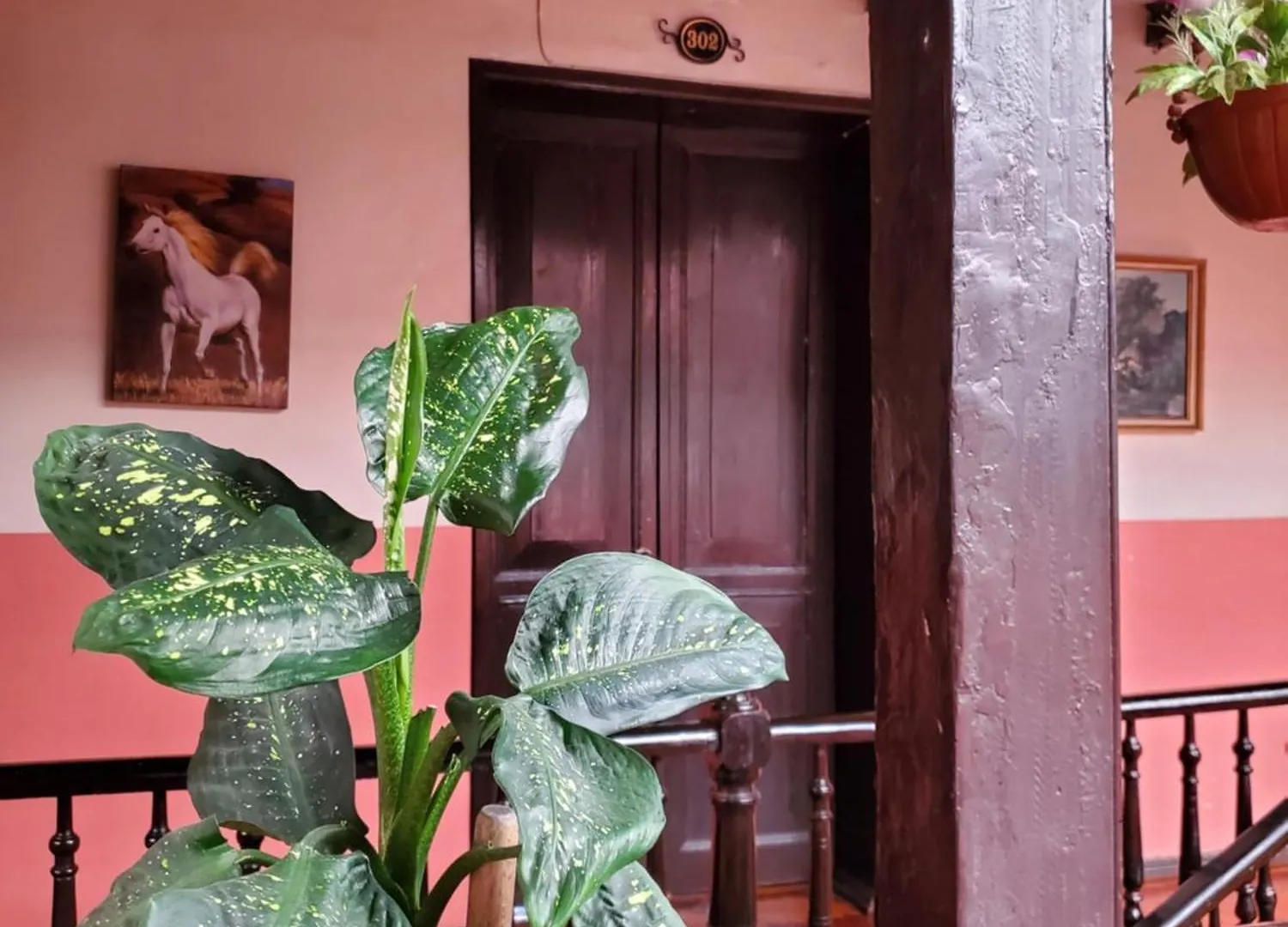 **  Hostal Juana de Arco Albergue Quito Ecuador